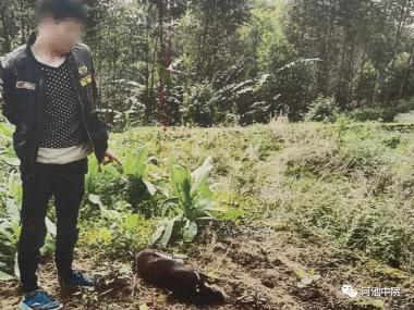 优选 氯化琥珀胆碱注射