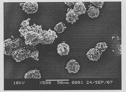 优选 枸橼酸他莫昔芬片