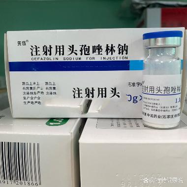注射用头孢唑林钠 1g 汕头金石粉针剂有限公司