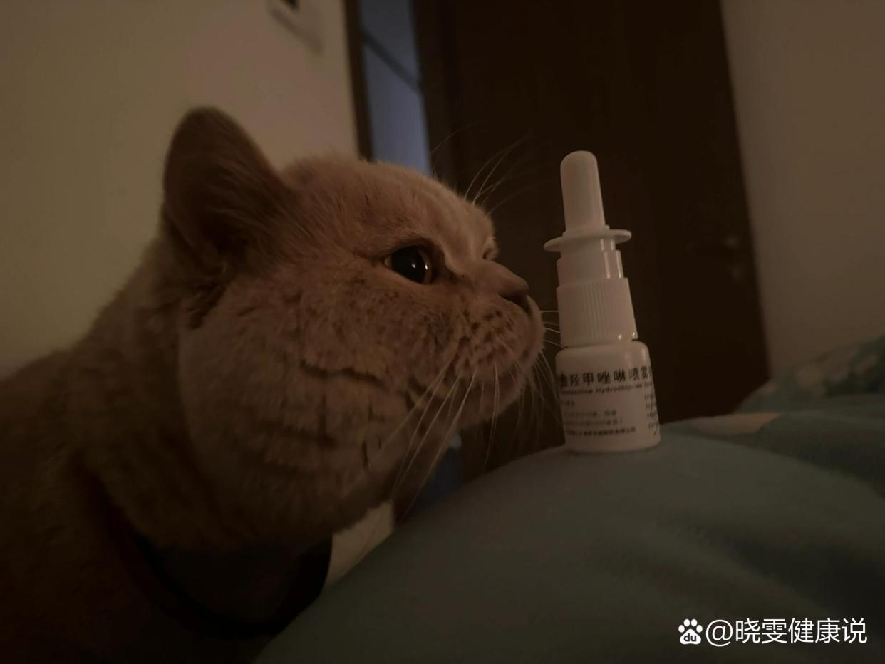 优选 盐酸羟甲唑啉喷雾