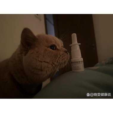 盐酸羟甲唑啉喷雾