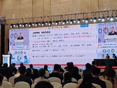 优选 甘桔冰梅片