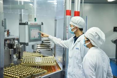 中华跌打丸（大蜜 6g*6丸 广西梧州制药(集团)股份有限公司