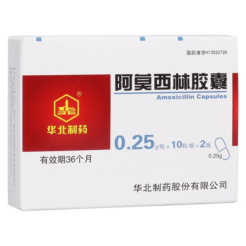 优选 阿莫西林胶囊