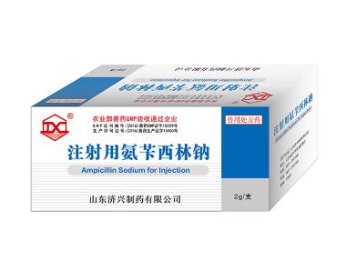 注射用美洛西林钠 2.5g 瑞阳制药股份有限公司